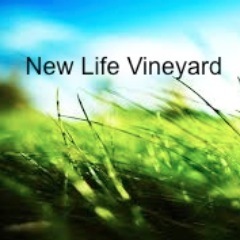 NLVineyard's profile picture. 