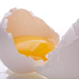 FountainOf_Muth's profile picture. 