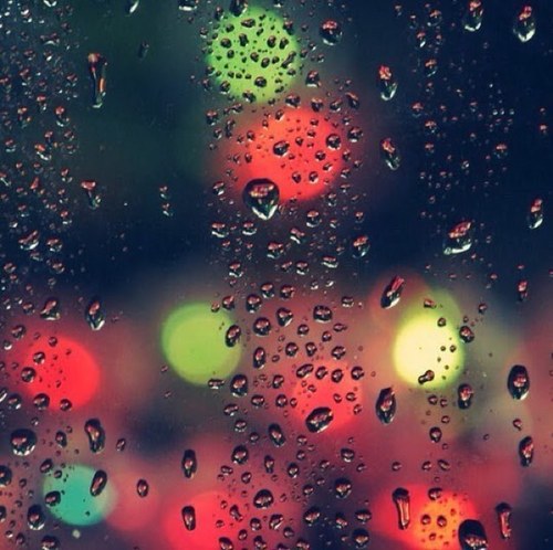 AdrianKappeler's profile picture. 