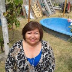 PavezTiti's profile picture. 