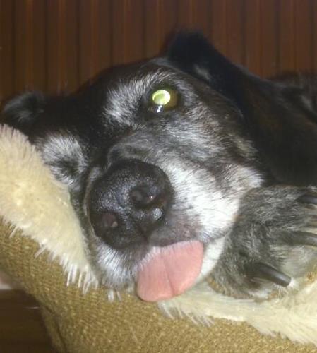 zaksmam's profile picture. 