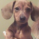 Cindy Mullins - @LuvmyfamCindy - Twitter