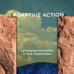 Adaptive Action: Leverage Uncertainty in Your Organization.  Doesn't get any simpler than this, but it ain't easy.