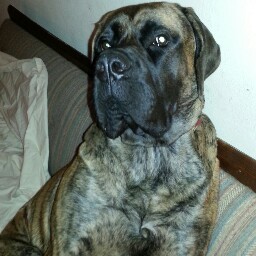 Hudsrobe's profile picture. Me? My life's an open book... an open Stephen King book.