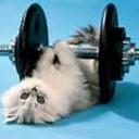 Michelle Bocanegra - @Funnygurl1722 - Twitter