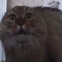 Harry Lowman - @tihl3333 - Twitter