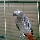 faye holt - @fayeholt17 - Twitter