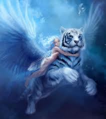 never give up, be warrior