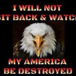 I like my guns and country, I support U. S. Constitution especially 2nd amendment. 2ND AMENDMENT IS NON-NEGOTIABLE and 1st Amendment.