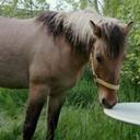 Jan Lambert - @JanLambert - Twitter