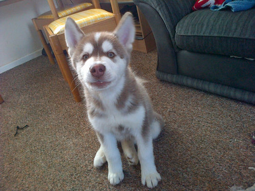 MaccaSaddler's profile picture. Stand by what I believe and will no be told otherwise!!!