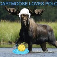 Dartmouth Water Polo (@dartmouthpolo) 's Twitter Profile