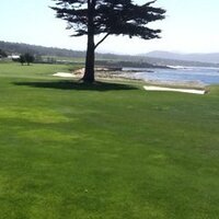 Foxie (@kohnkesman) 's Twitter Profile
