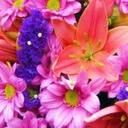 Denise Harper - @deniseheart007 - Twitter