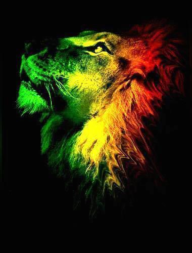 estudiante, amante del reggae lo mejor