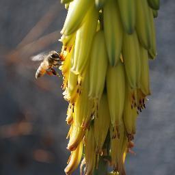 JanaiKamau's profile picture. 