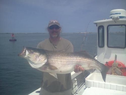 troutbum001's profile picture. A husband, father, teacher, inveterate troutbum, and  Renaissance man from the sierra foothills.