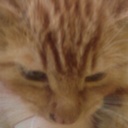 donna lancaster - @donnalancaster1 - Twitter