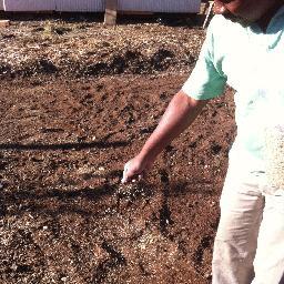 Genesis Gardens is a homeless community farm of Mobile Loaves & Fishes, utilizing agriculture to support, equip and empower our brothers and sisters in need.