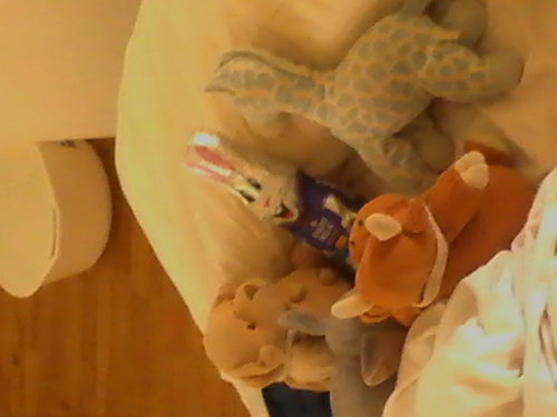 HelpsaveLeigh's profile picture. Hi, My name is Leigh and I'm from Queensland Australia. I have a massive tumor around my windpipe, which is cutting off my ability to breath.