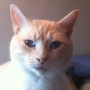 Dan Busch - @BlueEyeMurphy - Twitter