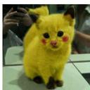 caitlin nicholson - @2love1Direction - Twitter