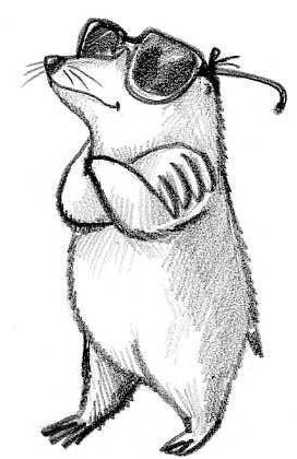 eltopoquerie's profile picture. siempre tiene la palabra justa