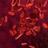 Hematology_101's profile image