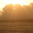 Eddie Cameron - @EddieCameron79 - Twitter