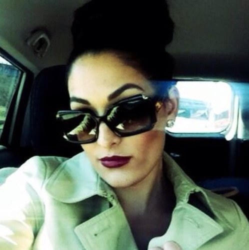 Legit @nicoleandbri. (RP,FL) I'm the hotter twin. Former Divas Champion. You can look but you can't touch! Besos! Signed with @TopStarWrestlin. #BnNArmy :)
