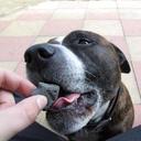 rocky clark  - @rockyjr46 - Twitter