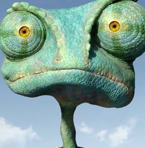 gpcordon's profile picture. 