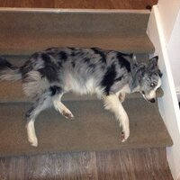 simon jones (@simonjones44) 's Twitter Profile