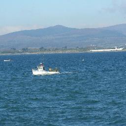 waterro's profile picture. 