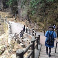 の (@m1z0n0) 's Twitter Profile