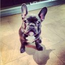 Jackson - @JacksonCornishJ - Twitter