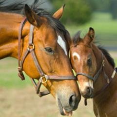 daisythiel1's profile picture. 