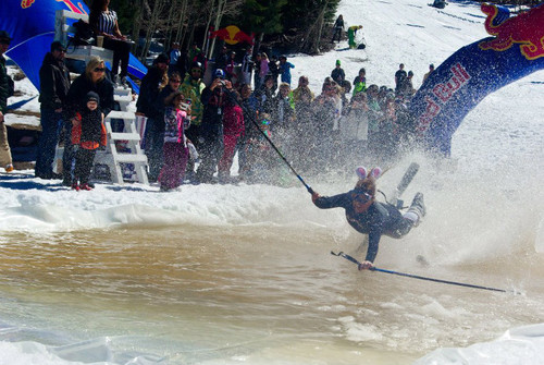 OriginalGardenr's profile picture. organic-gardening, downhill-skiing, acrylic-painting, coastal-swimming, scientific-experimenting, people-analyzing, threat-hunting, music-making lover of life