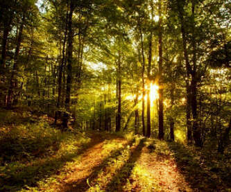 wayde084's profile picture. ....!.....