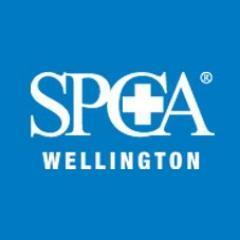 Our mission is to prevent cruelty & promote kindness to animals. We rescue, rehabilitate & rehome over 6,000 animals every year. instagram @spcawgtn