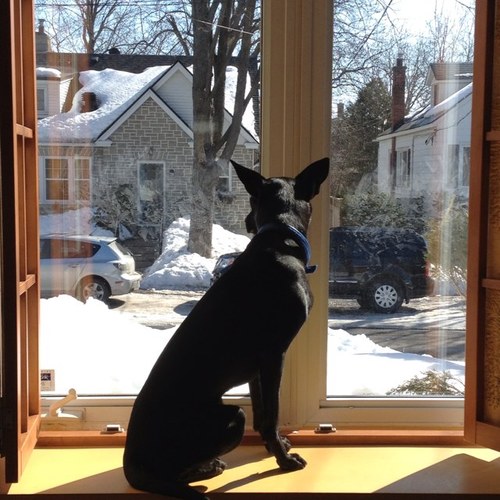 llimard's profile picture. just a straight-up everyday normal guy.