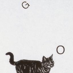 rk54rk's profile picture. as a graphic designer