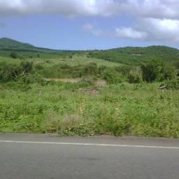 neyva_c's profile picture. 