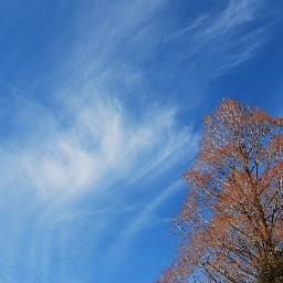 埼玉出身で さいたま市に住んでいますが
青森県・岩手県・秋田県のどこかに住みたいのです
