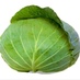 @cabbages_