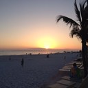 Suzanne Hammer - @SFosterHammer - Twitter