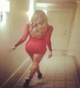 Ciara_Legs's profile picture. Grammy, Oscar & Golden Globe award winning legs! Certified & insured.