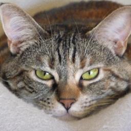 mjames5725's profile picture. 