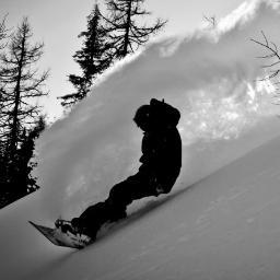 McNa11y's profile picture. 🟥🟨🟧🐺 Nun Se Pò Spiegà. Forza Roma ▫️▫️🟩⬜️🟧 Na Buachaillí i nGlas