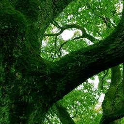 26_Yamamoto26's profile picture. 16のときよりネットで小遣いを稼いでいます。
今は500万円貯めるために頑張っています。
趣味は読書にナンプレ、最近は歴史に興味があります。
相互フォローやっています。
フォローよろしくお願いします。